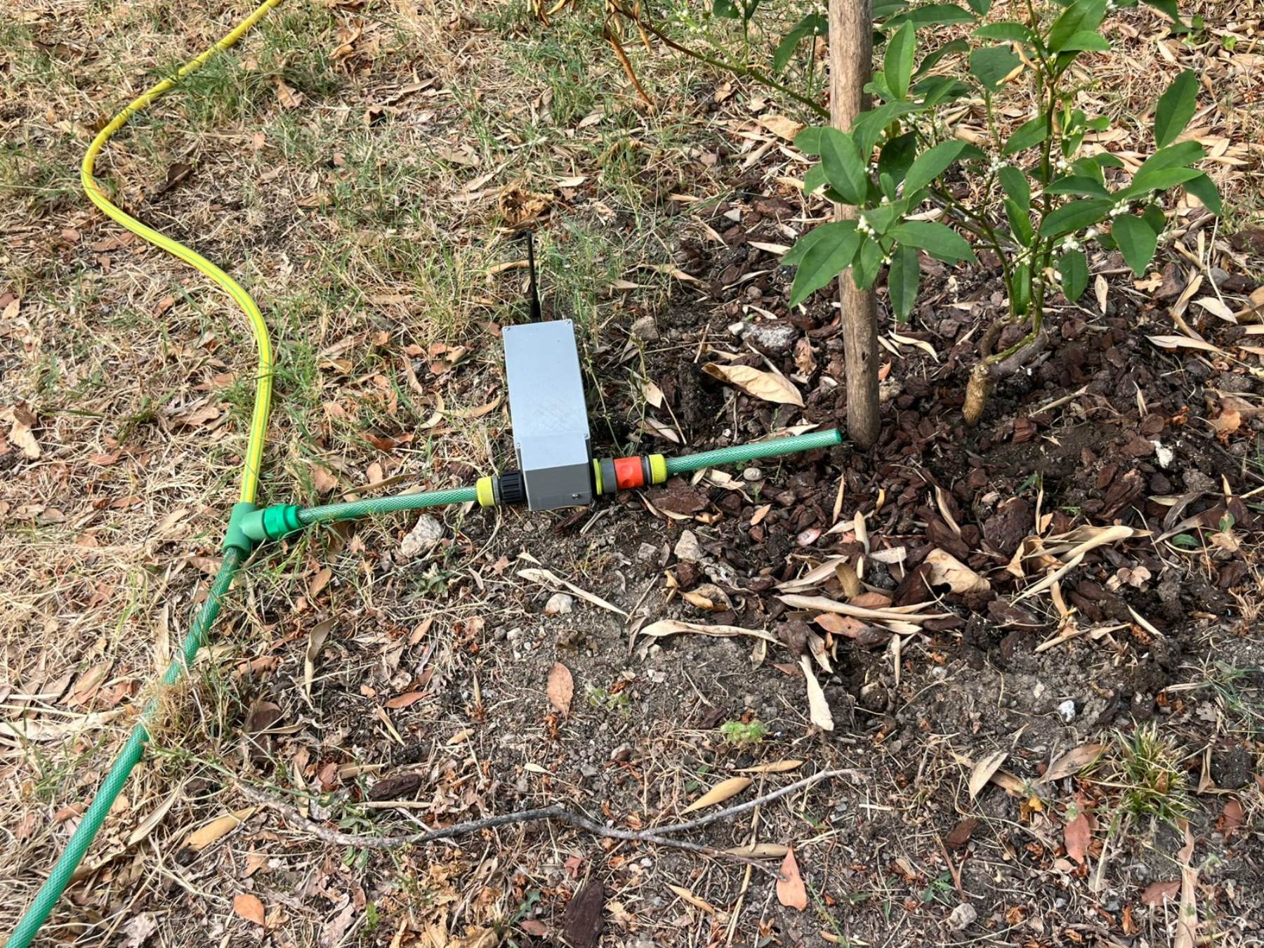 BloomPulse prototip: NB-IoT senzor i pametni ventil postavljeni u sadnici tokom testiranja